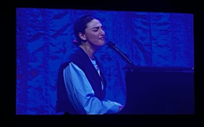 Sara Bareilles & Mental Health